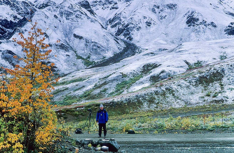Perry steht frierend in der Tundra, Denali-Nationalpark - (Alaska), Perry stays and freeze in tundra