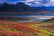 Thumbnail of the category Denali National Park