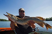 Volker mit kapitalem Hecht - (Laenge: 93cm), Esox lucius - (Borgdorfer See), Volker with Northern Pike - (Lenghts: 93inch)