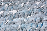 Glacial ice and crevasses of the Salmon Glacier