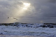 Wellen an der Daenischen Nordseekueste, Daenemark  -  Midtjylland  -  Thorsminde, Waves on the Danish North Sea coast