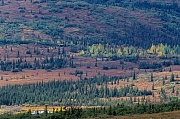 Blick auf den Wonder Lake Campingplatz, Denali-Nationalpark, View to Wonder Lake Campground