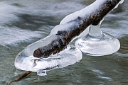 Eisstrukturen auf einem Ast, Oberlausitz  -  Sachsen, Ice structures on a branch