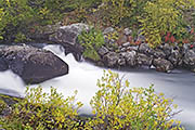 Thumbnail of the category Abisko National Park