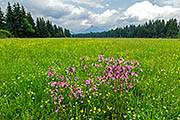 Übersichtsbild der Kategorie Tatra-Nationalpark / TANAP