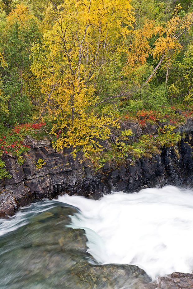 Stromschnellen am Fluss Nakeraetno - (Sami: Nagireatnu), Abisko-Nationalpark  -  Norrbottens Laen, White water rapids at Nakeraetno-River - (Sami: Nagireatnu)