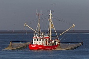 Krabbenkutter vor der Deutschen Nordseekueste, Eidersperrwerk  -  Schleswig-Holstein, Shrimp boat on the North Sea at the German coast