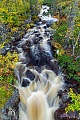Nach starken Regenfaellen fuehrt dieser kleine Fluss viel Wasser, Fulufjaellet National Park  -  Dalarna  -  Sweden, After heavy rainfalls this small river carries a lot of water