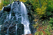 Radau-Wasserfall im Herbst, Bad Harzburg  -  Niedersachsen, Radau-Waterfall in autumn