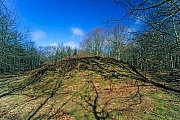 Huegelgrab bei Ydby Hede in Daenemark, Limfjord - Daenemark, Burial mound by Ydby Hede in Denmark
