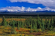 Alaska-Bergkette und herbstliche Tundra, Denali Nationalpark  -  Alaska, Alaska range and tundra landscape in indian summer