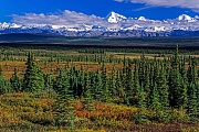 Alaska-Bergkette und herbstliche Tundra, Denali Nationalpark  -  Alaska, Alaska range and tundra landscape in indian summer
