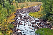 Herbstlandschaft mit Wildbach, Lappland  -  Norrbottens Laen, Autumn landscape with stream